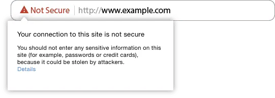 Website Security Audit