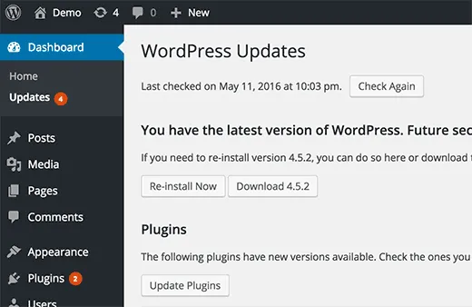 WordPress CMS Updates
